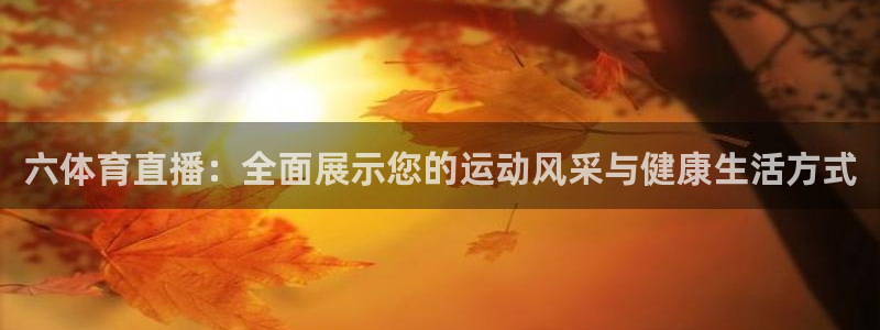 六体育直播：全面展示您的运动风采与健康生活方式
