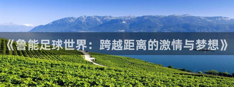 《鲁能足球世界：跨越距离的激情与梦想》