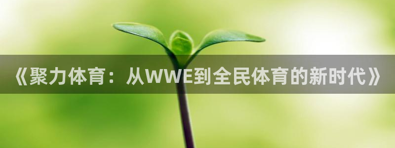 《聚力体育：从WWE到全民体育的新时代》