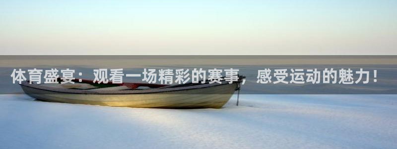 体育盛宴：观看一场精彩的赛事，感受运动的魅力！
