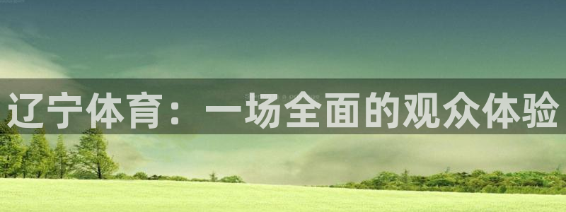辽宁体育：一场全面的观众体验