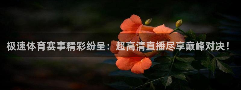 极速体育赛事精彩纷呈：超高清直播尽享巅峰对决！