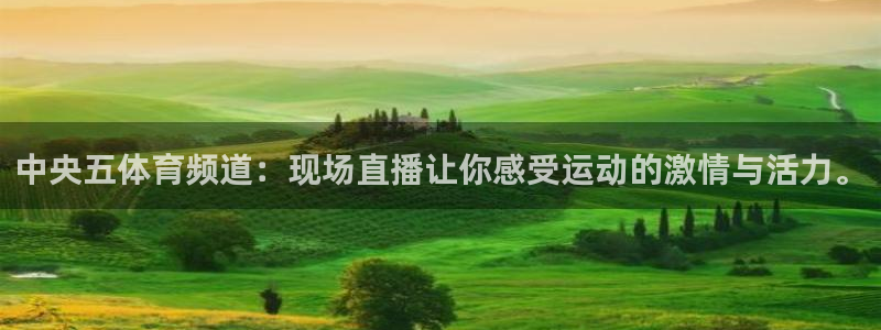 中央五体育频道：现场直播让你感受运动的激情与活力。