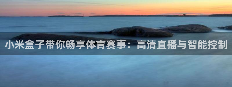 小米盒子带你畅享体育赛事：高清直播与智能控制