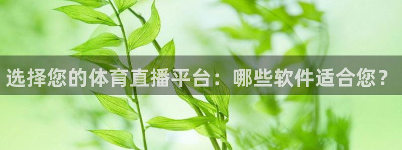 选择您的体育直播平台：哪些软件适合您？
