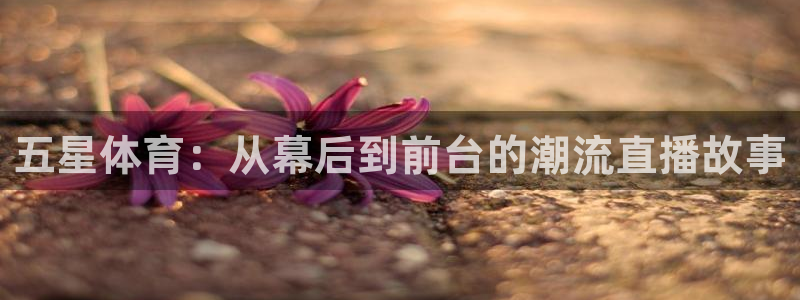 五星体育：从幕后到前台的潮流直播故事