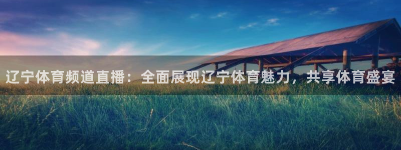 辽宁体育频道直播：全面展现辽宁体育魅力，共享体育盛宴