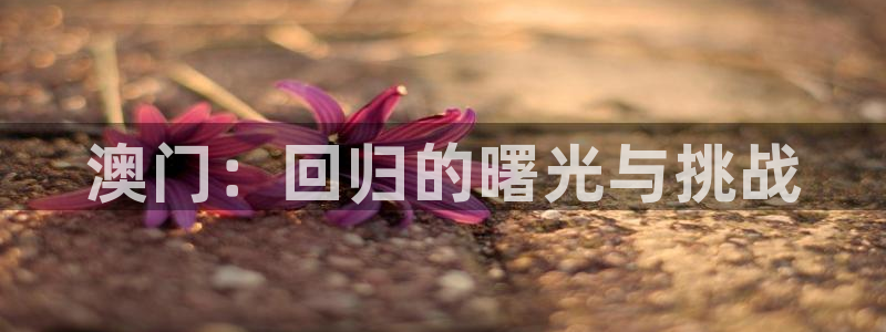澳门：回归的曙光与挑战