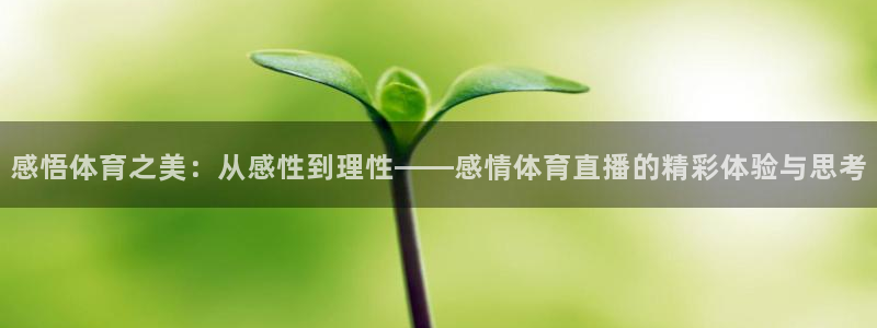 感悟体育之美：从感性到理性——感情体育直播的精彩体验与思考